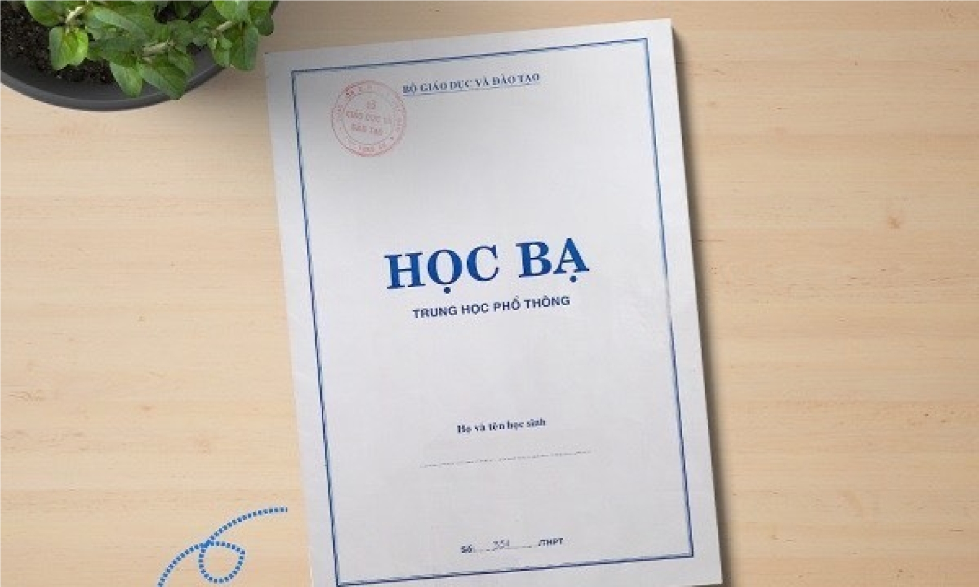 HỌC BẠ/ BẢNG ĐIỂM